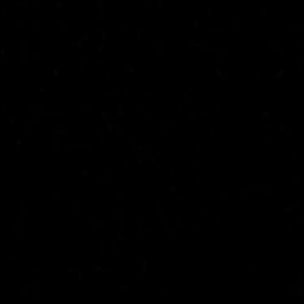 Meet your Posher, Evelyn